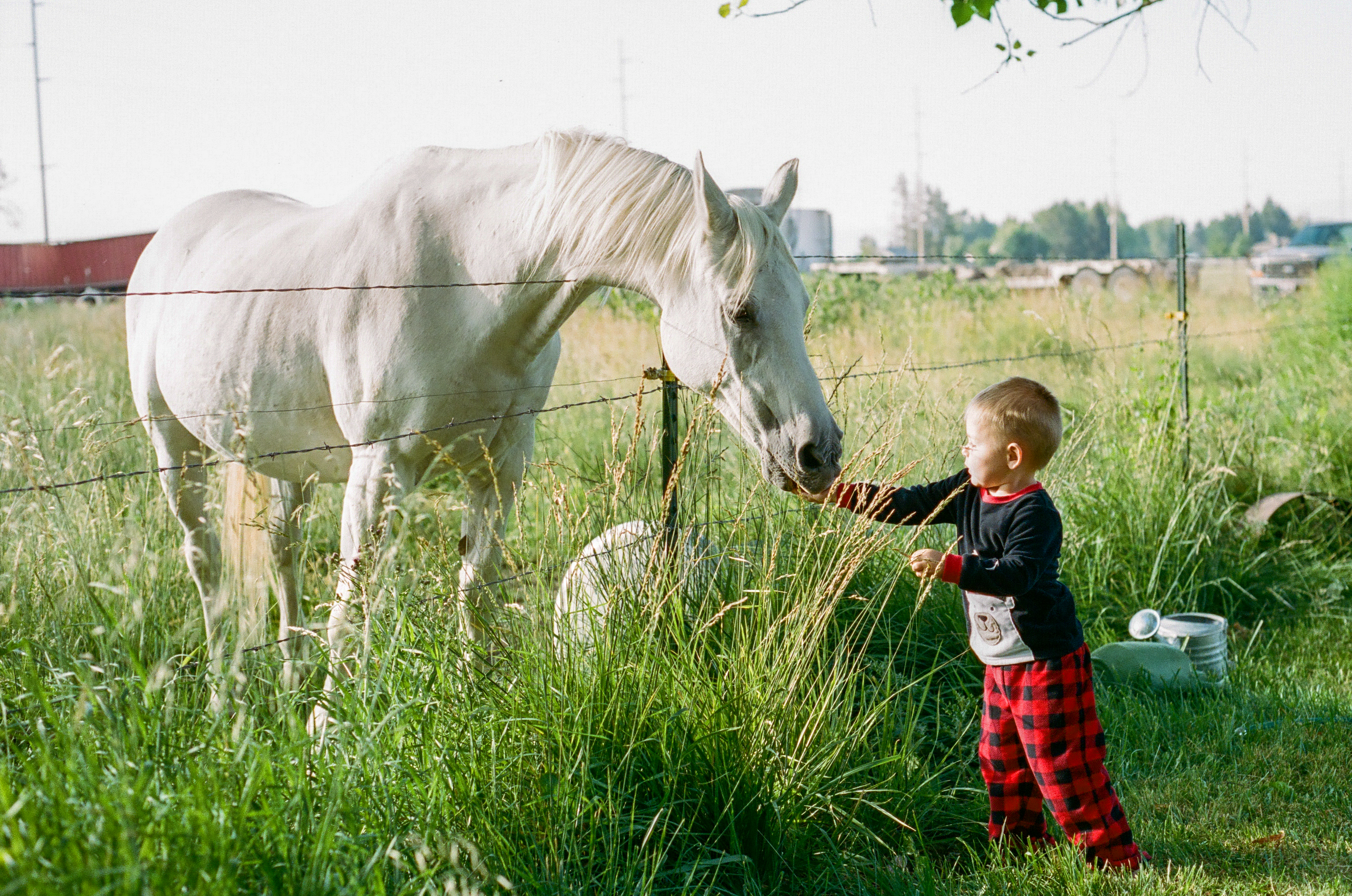 Connection series photograph